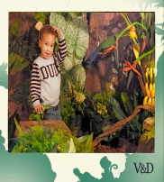 V&D Колекция  2014