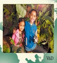 V&D Колекция  2014