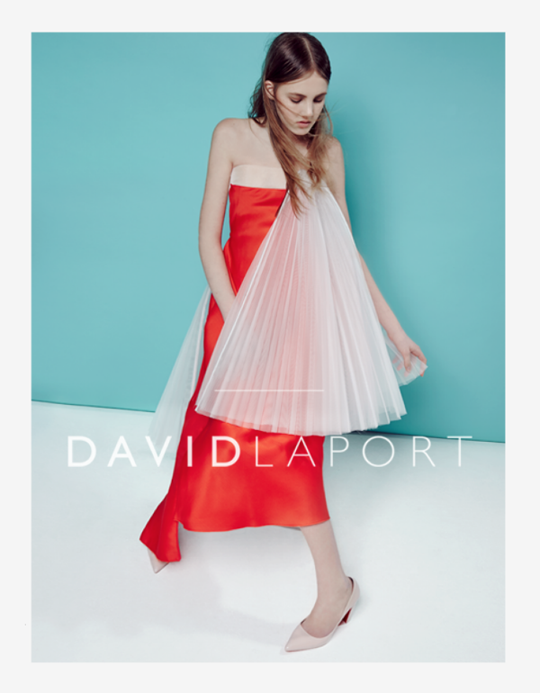 David Laport Collection  2014