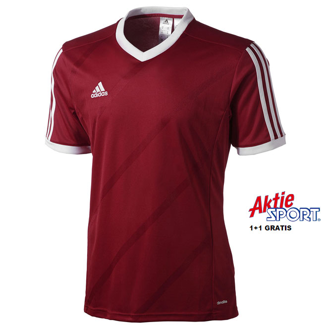 Aktiesport Collection  2015