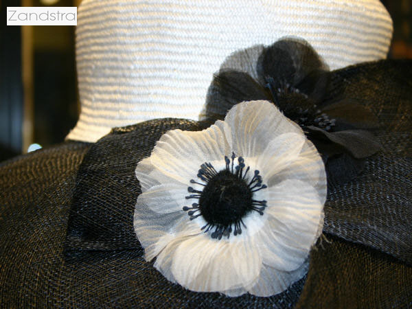 Zandstra  Collection  2017