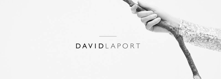 David Laport Collection   2014